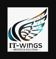 IT Wings